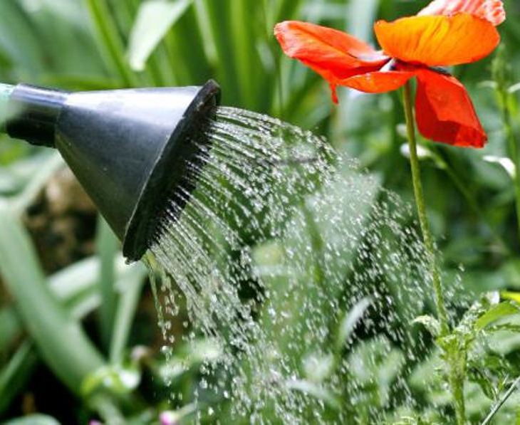 jardiner bon pour le moral et anti stress